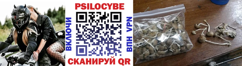 Галлюциногенные грибы GOLDEN TEACHER  Избербаш 